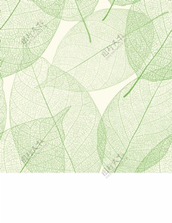 手绘线条绿叶树叶图片