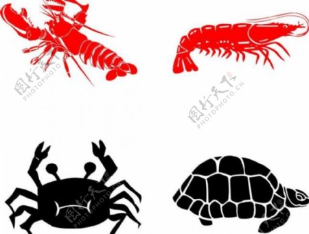 龙虾螃蟹乌龟图片