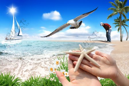 沙滩海滩沙滩海洋海星双手草椰子树男人打高尔夫球高尔夫球海鸥飞翔帆船蓝天白云生活娱乐休闲
