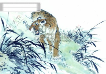 中华艺术绘画古画动物绘画老虎中国古代绘画
