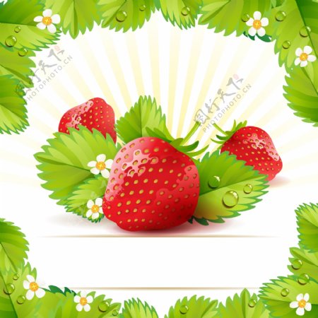 手绘草莓矢量图片