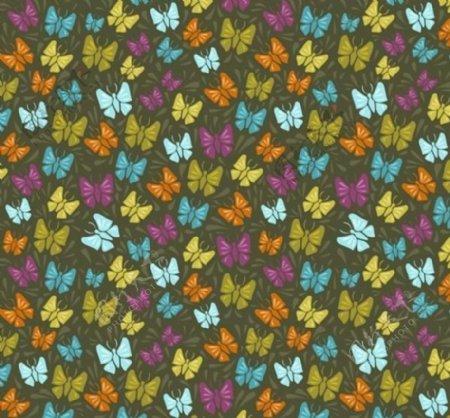 秋天的蝴蝶制作GIF模式