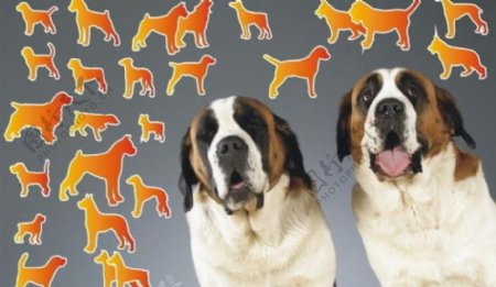 世界名狗剪影拓图图片