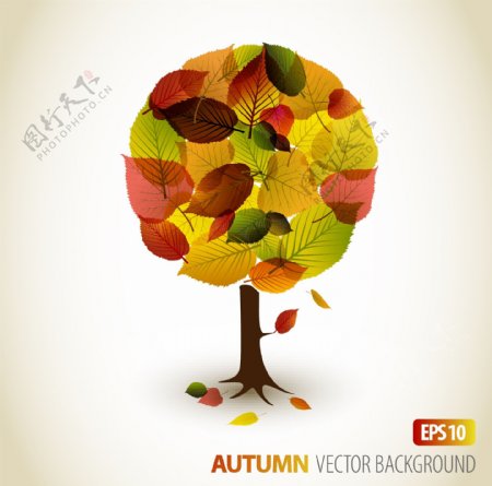 秋天的树叶图形autumn矢量图
