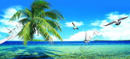 蓝天大海椰树图片