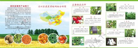 蔬菜四折页图片