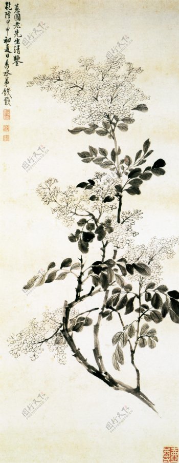中国花卉水墨