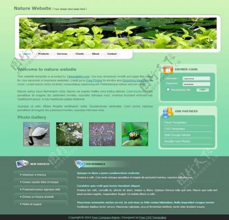 国外动植物创意网站模板