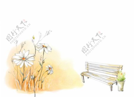 菊花和长椅