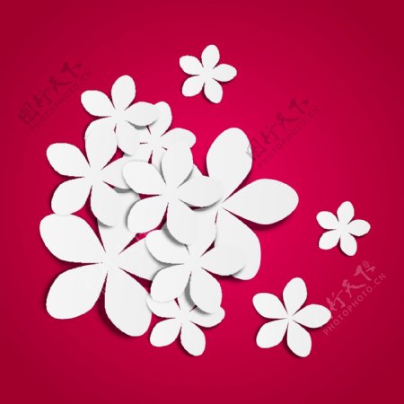 白色花朵矢量素材