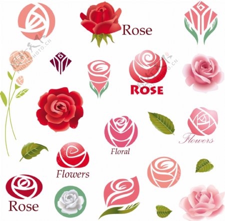 玫瑰花主题图标矢量设计