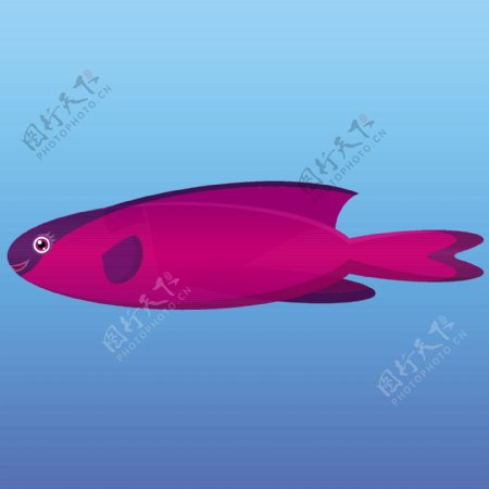 一个粉红色和紫色兜帽濑鱼在蓝色的背景矢量插画