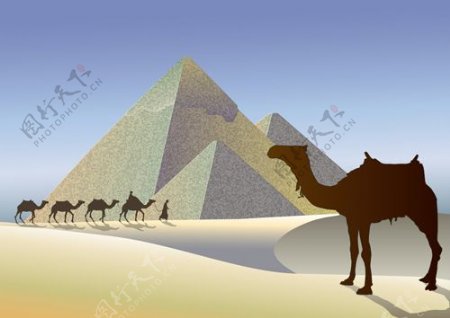 创造性的埃及金字塔背景矢量图形03