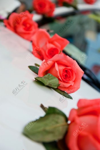 婚礼玫瑰图片
