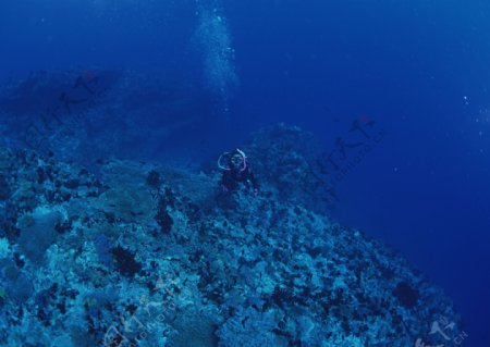 浅海潜水图片