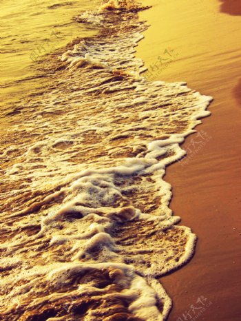 黄金海滩图片