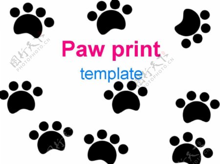 动物卡通脚印PPT模板