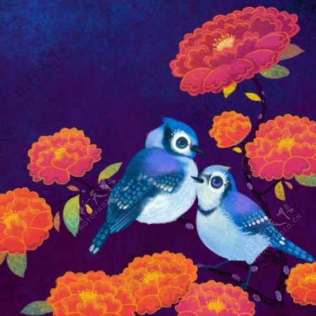 位图插画插画师动物插画鸟类免费素材
