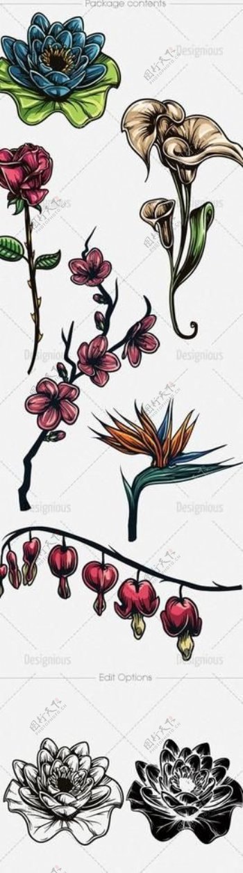 花朵植物纹身图案