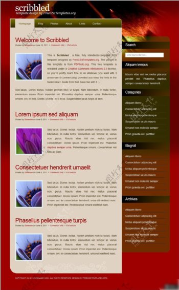 红色喜庆展示网页设计