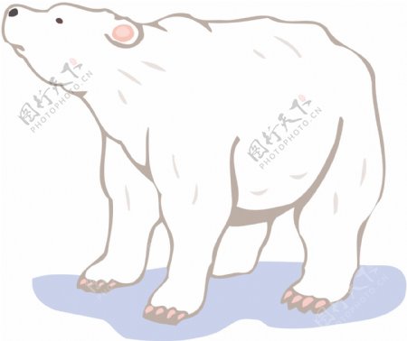 动物玩具北极熊矢量1