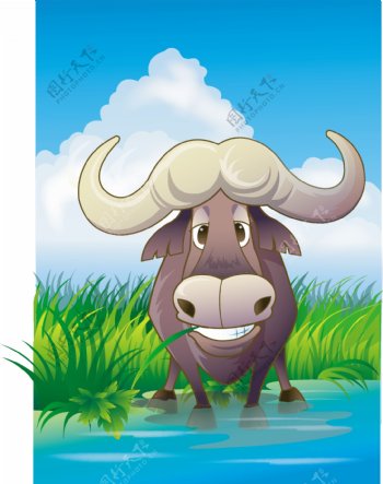 动物插画野牛图片