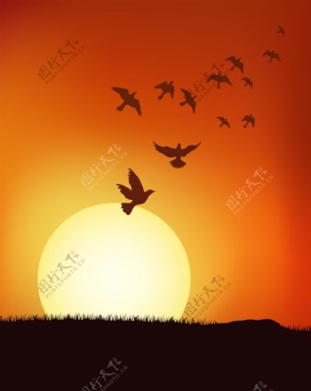 鸟类种群的夕阳下的矢量矢量素材