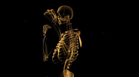 旋转骨架体人体运动的背景视频免费下载