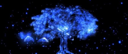 光效蝴蝶树动态视频