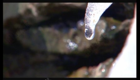 冰雪融化水滴视频素材