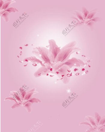 粉色花朵花瓣移门图片