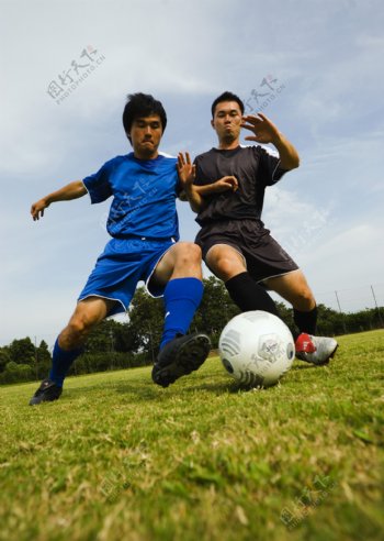 足球竞技图片