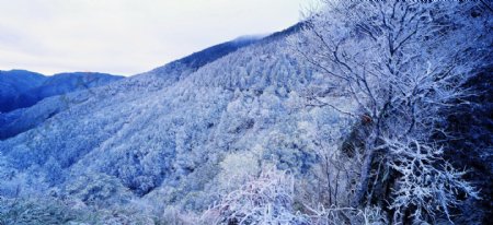 冬天雪景