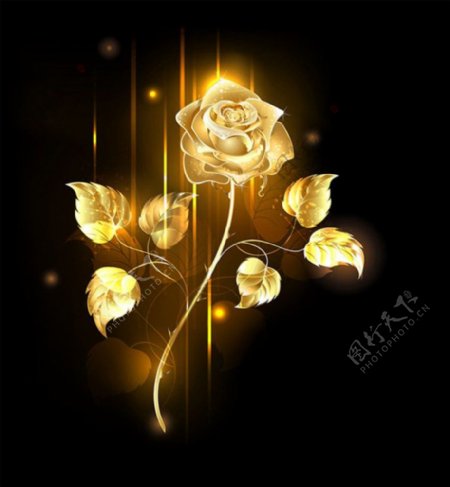 黄金玫瑰花设计矢量图