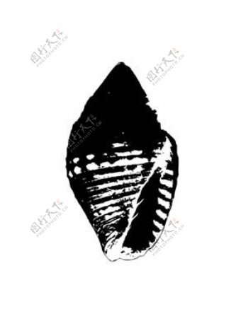 全球首席大百科水墨黑白笔刷贝壳海螺拓印