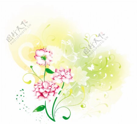 蝴蝶藤蔓和粉色花朵插画
