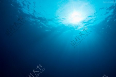 斯米兰群岛国家公园蓝色海底.