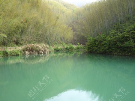 碧绿的湖水图片