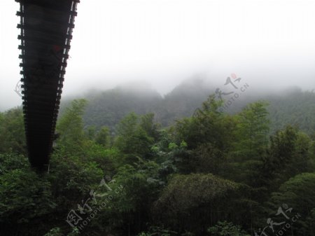 吊桥飞跃竹海图片