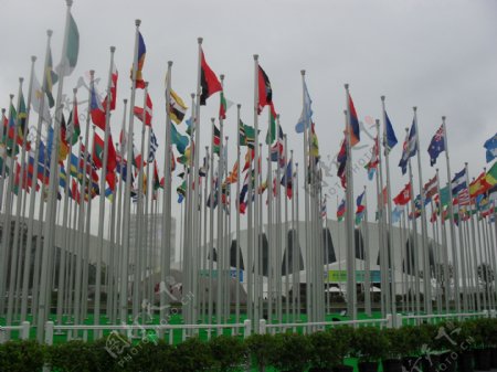 东方体育中心参赛国旗图片
