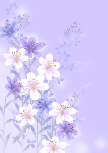 蓝花开底纹花纹素材