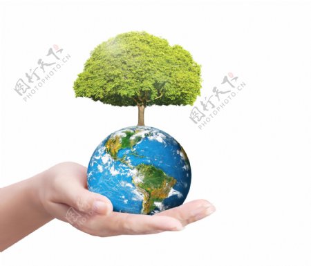 地球绿色大树图片