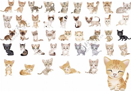 40超可爱的小猫咪矢量素材