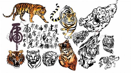 老虎与虎书法字体矢量素材