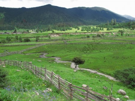 西藏草原风景
