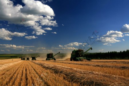 机械化大农业图片