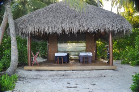 椰林中的沙屋图片