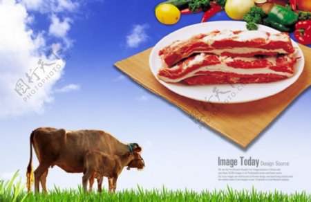韩国食材牛排宣传海报psd素材