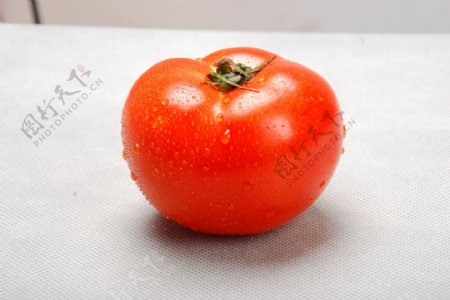 超大西红柿图