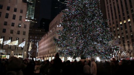 纽约市圣诞树2股票的录像